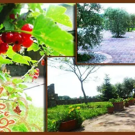 Farm stay Podere Dei Kiwi *